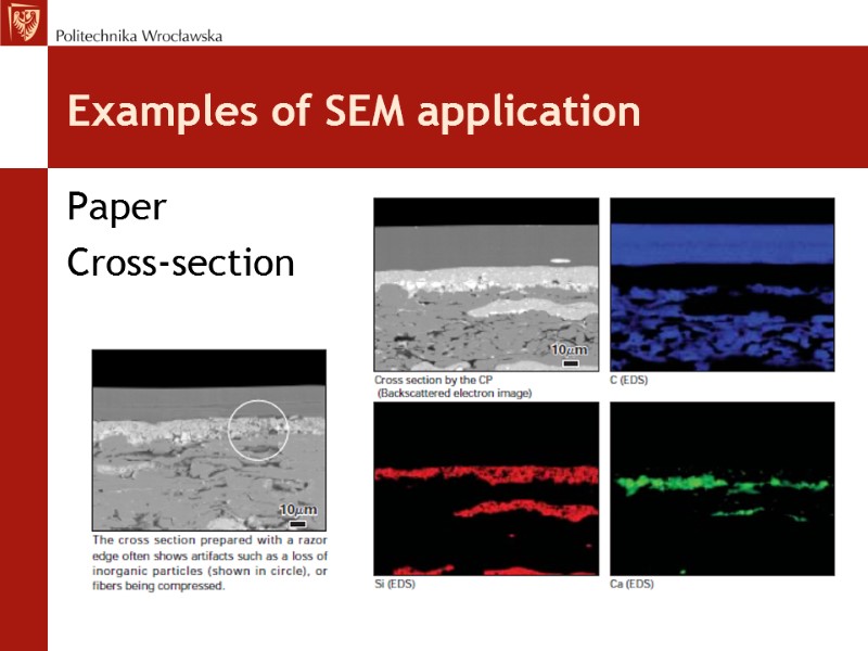 Examples of SEM application Paper  Cross-section